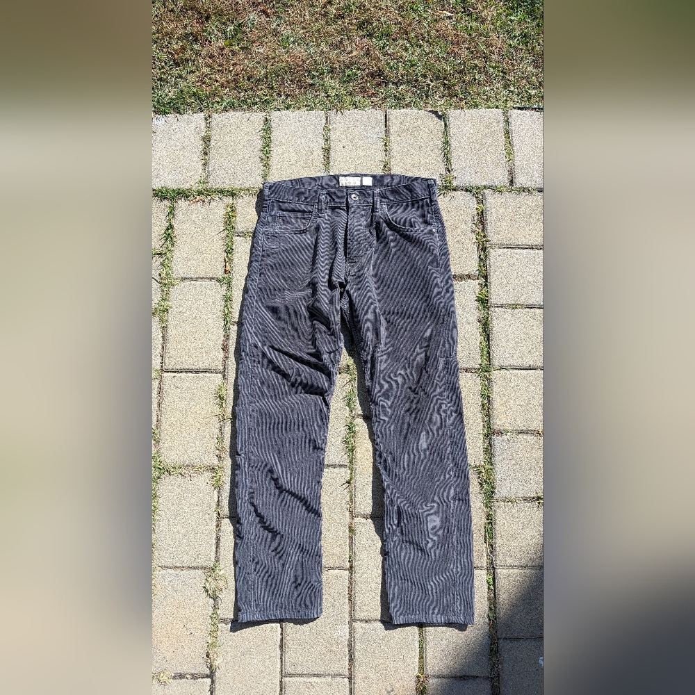 Patagonia Men's Cords